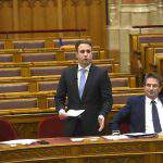 government official parliament