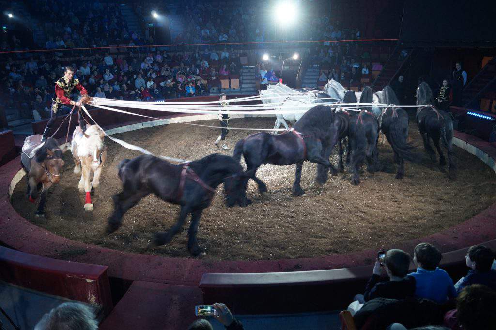 Hlavní město cirkus v Budapešti jízda na koni