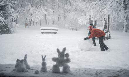 This is how healthy the Hungarians consider themselves