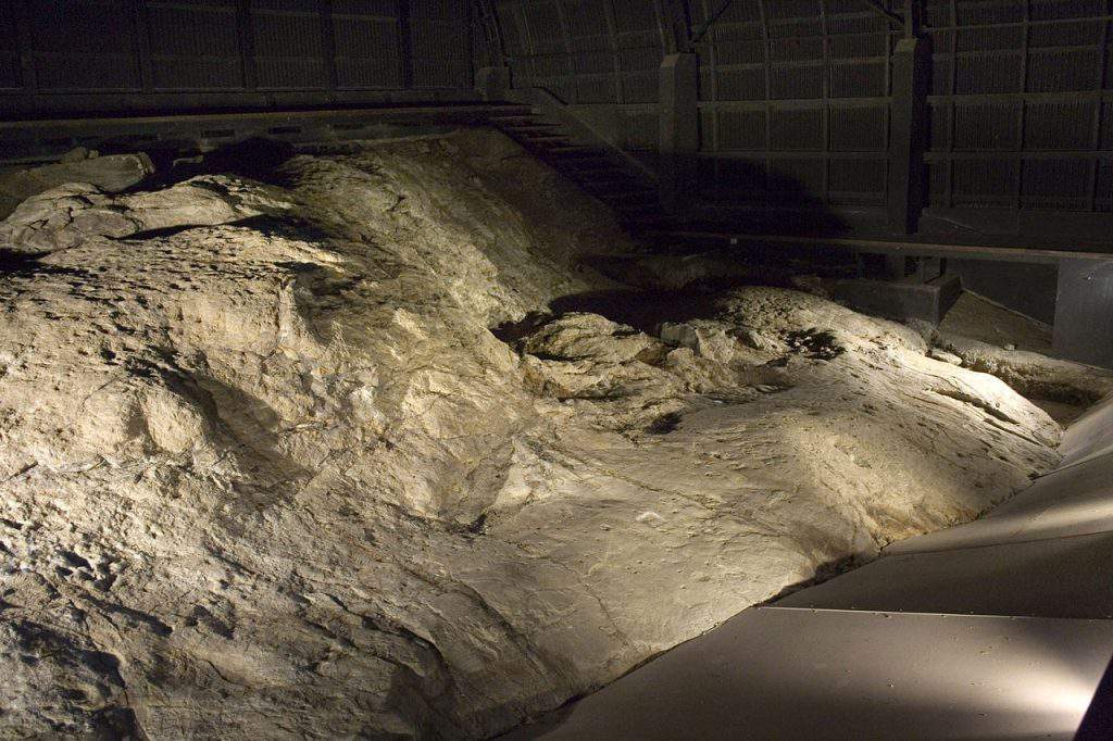 Ipolytarnóc ősmaradványok fossil remain lelőhely