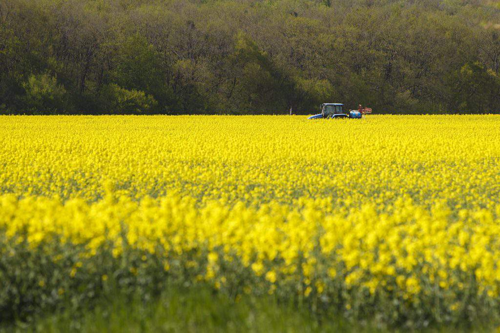 Spring in Hungary