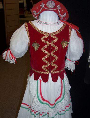 museum hungarian traditional clothing