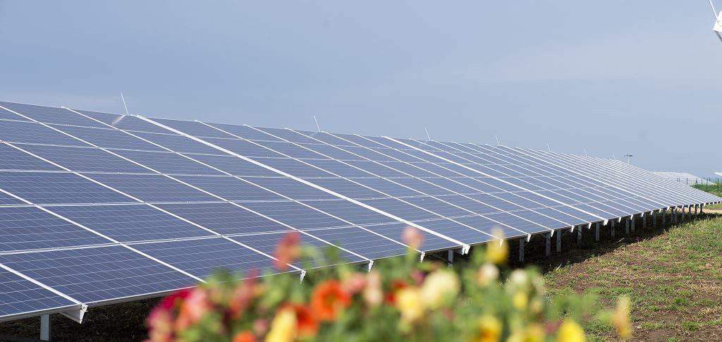 solar power plant Hungary