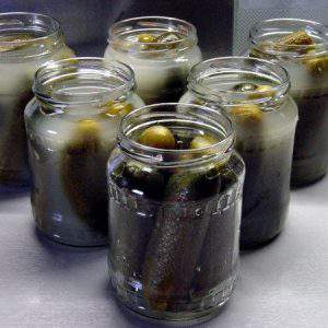 leavened cucumber pickles