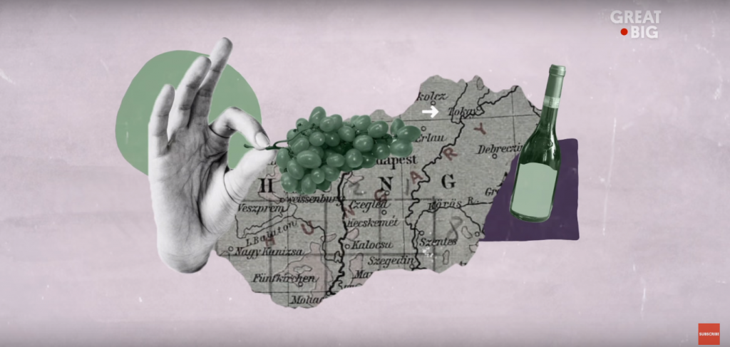 Vídeo de la región vinícola de Tokaj