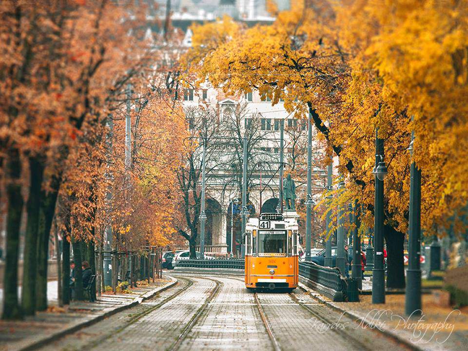 الخريف في بودابست