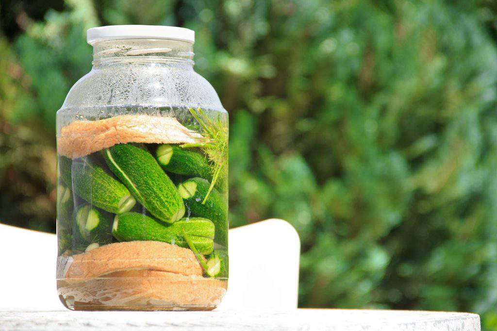cucumber, pickled, food