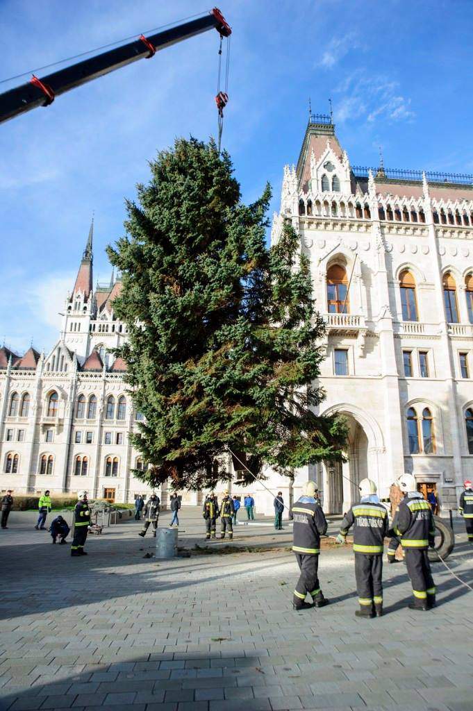 Christmas tree, Kossuth Square