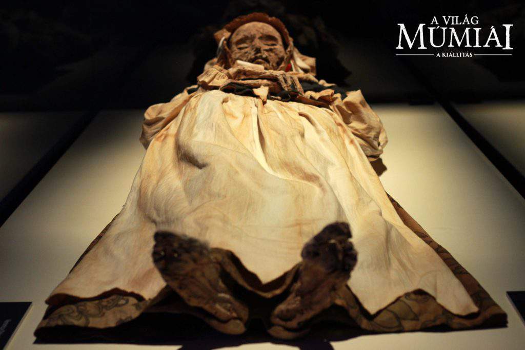 mummy, exhibition