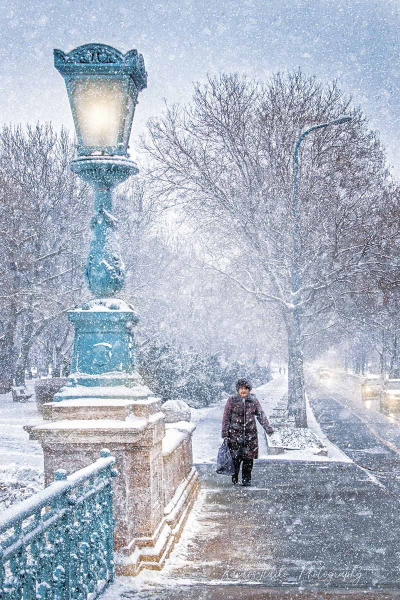 Budapest Winter Snow Városliget Park
