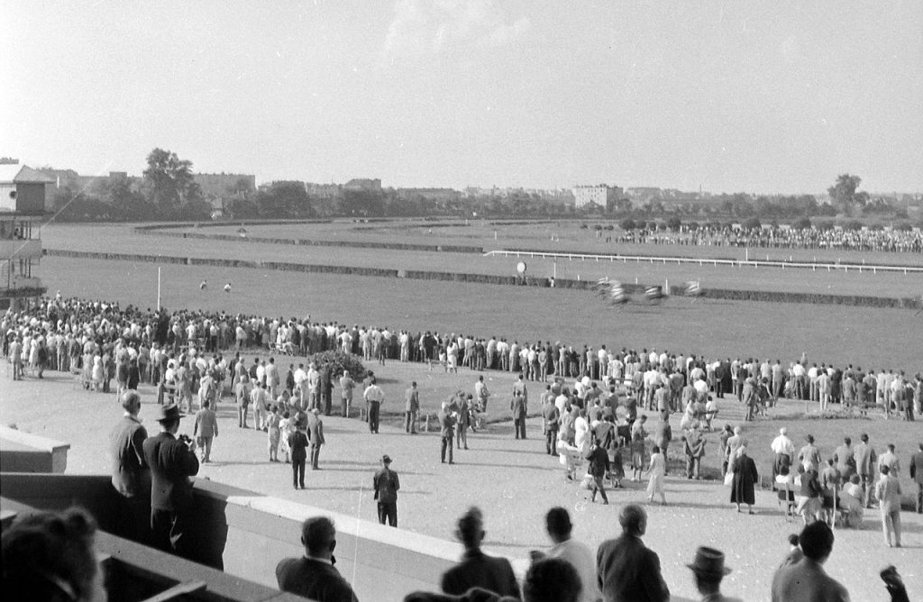 Kincsem Park, horse, racing, venue