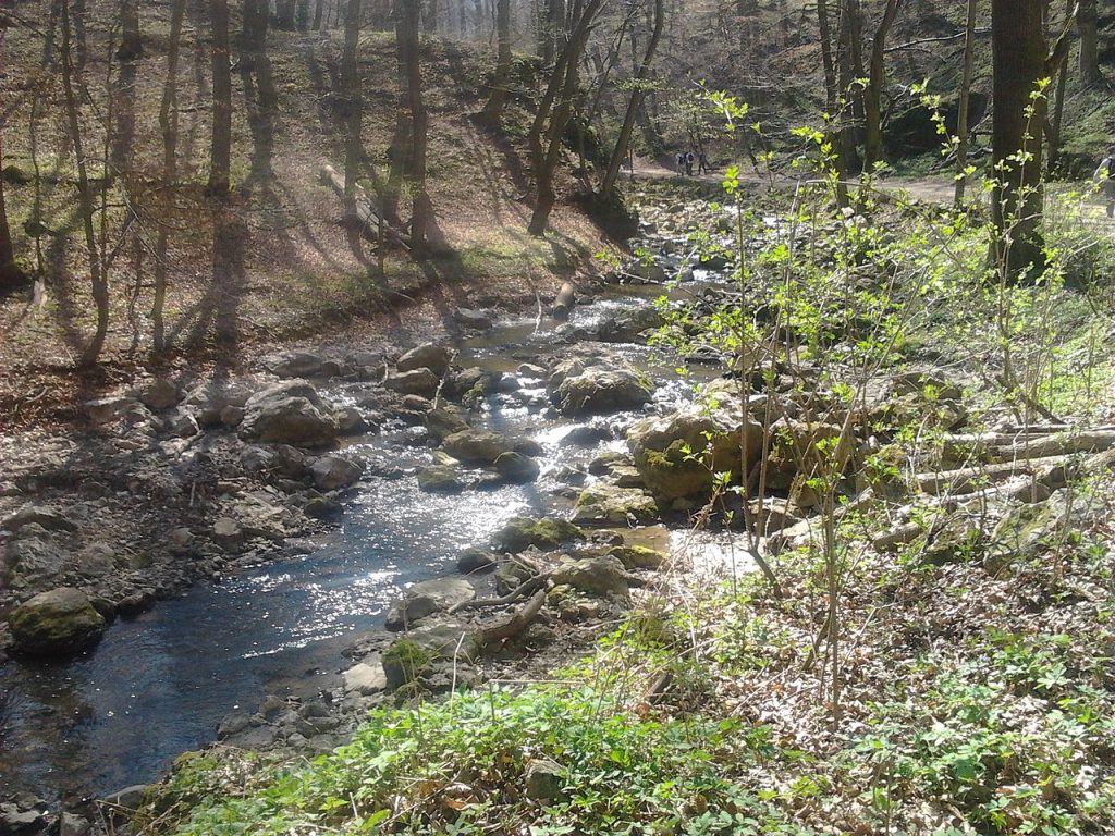 Cuha stream, Hungary, nature, water, sight