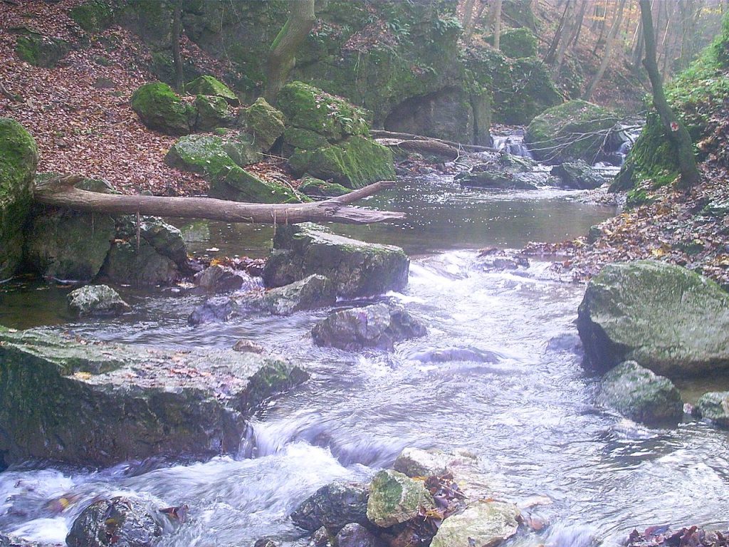 Cuha stream, nature, water, sight, Hungary