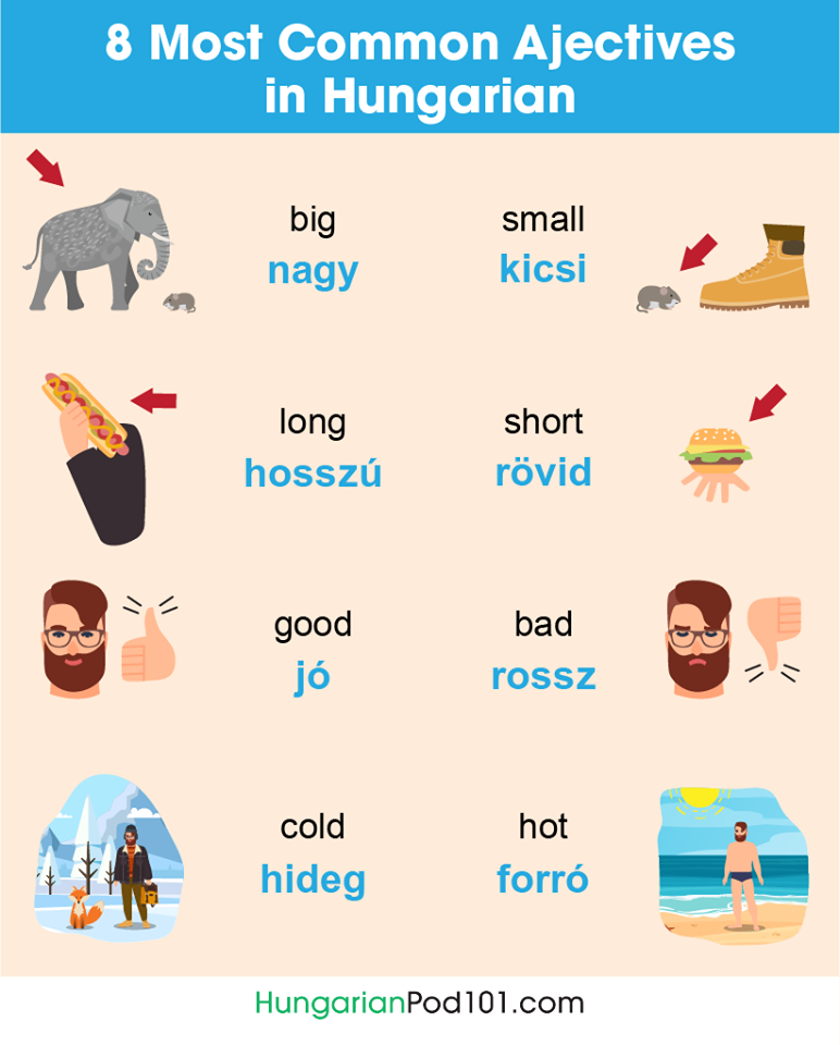 Hungarian language learning essential
