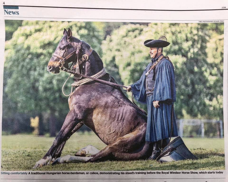 Mátai Ménes, newspaper, horse, Hungary