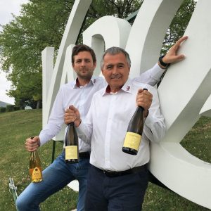 competition, win, wine