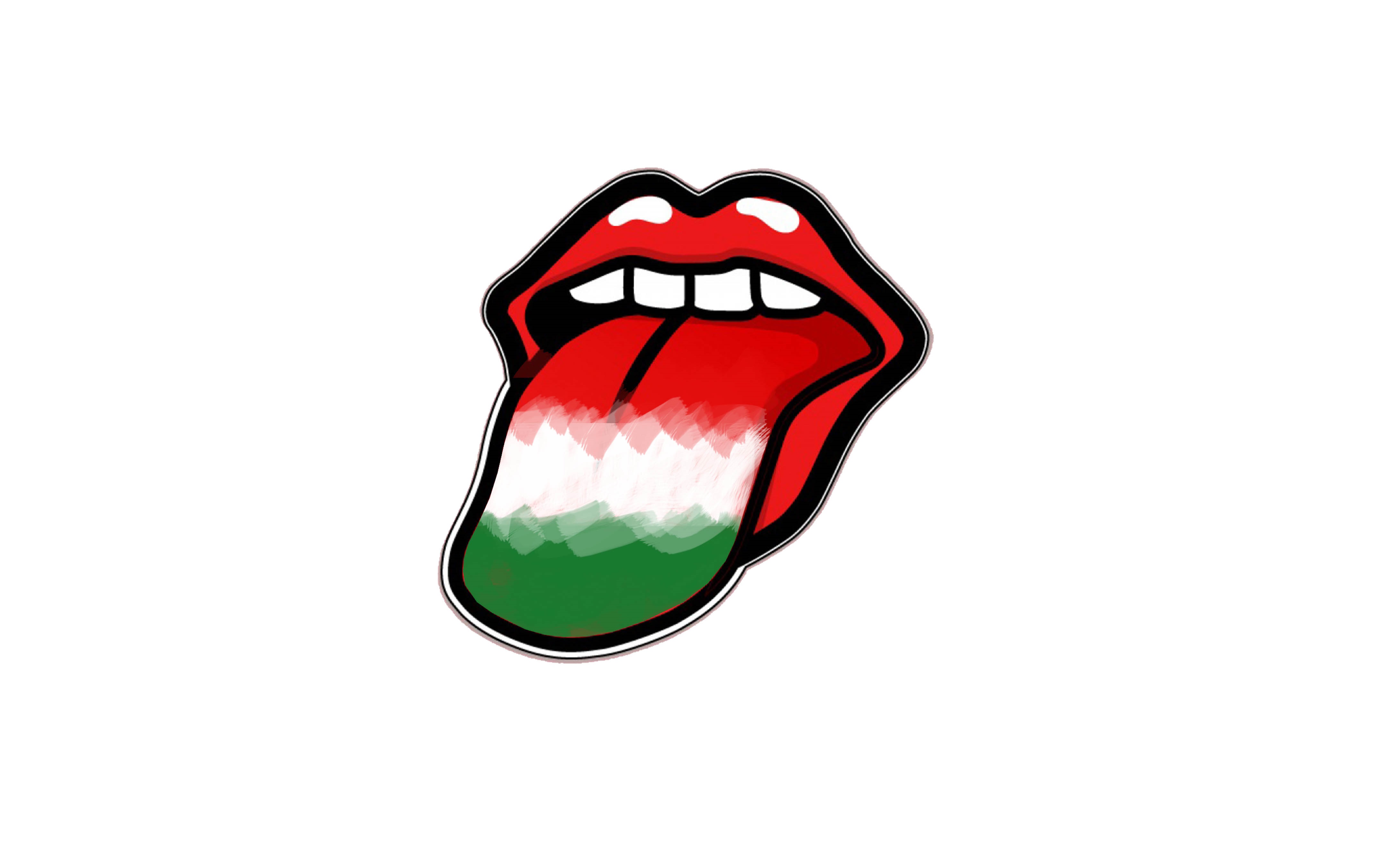 hungarian flag tongue language