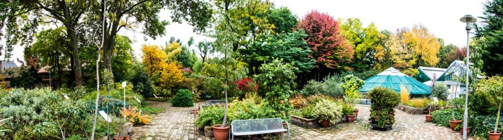 Fűvészkert botanical garden Budapest ELTE