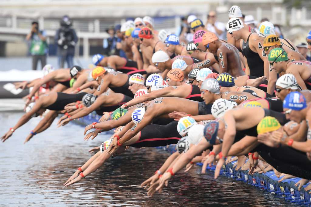 FINA World Championships - Men's 10km open water swimming