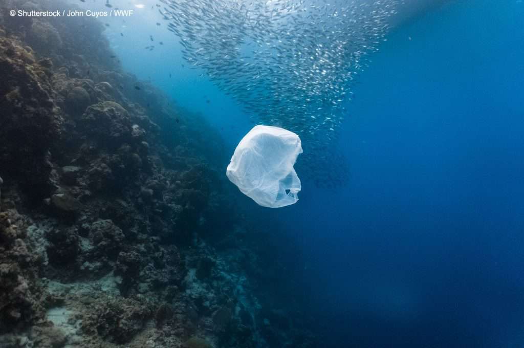 pollution, sea, plastic