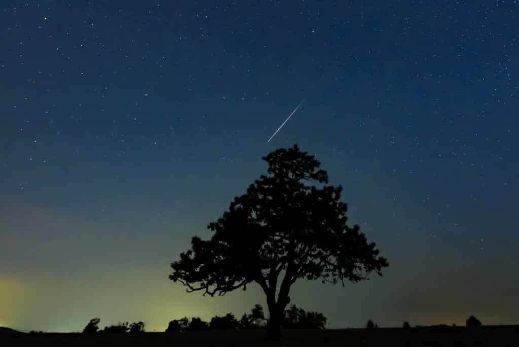 Perseids