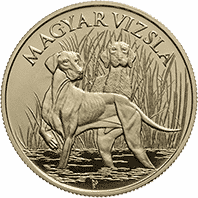 coin with vizsla