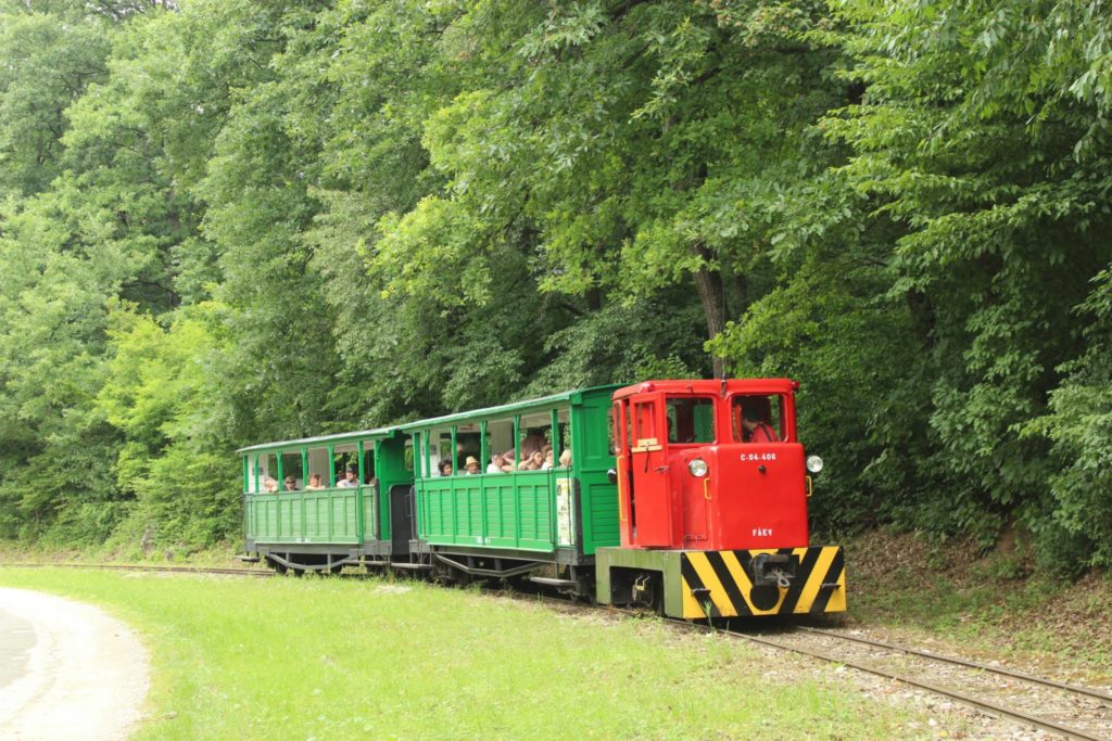 Felsőtárkány, forest, Hungary, railway