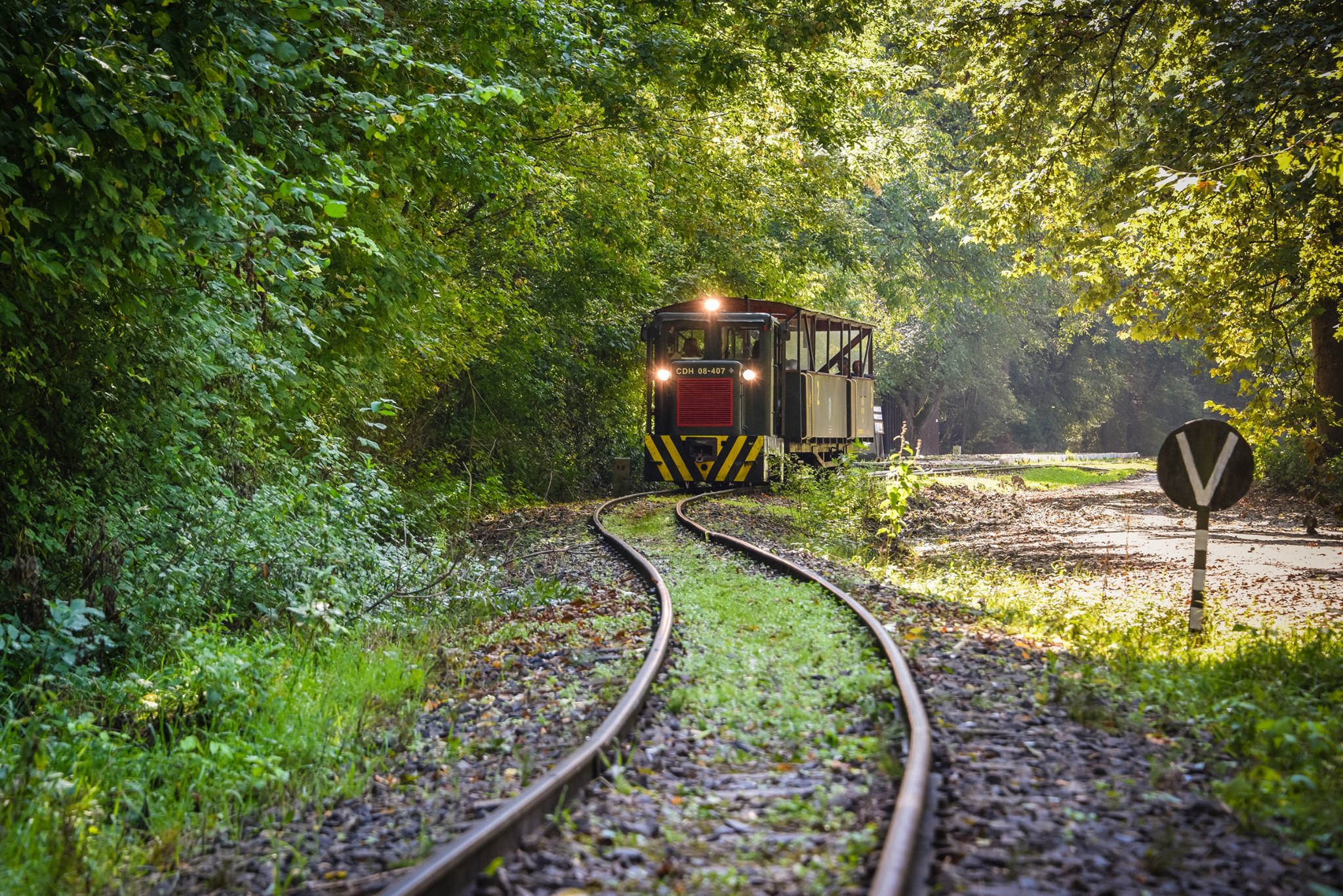 Gemenc, forest, railway, Hungary