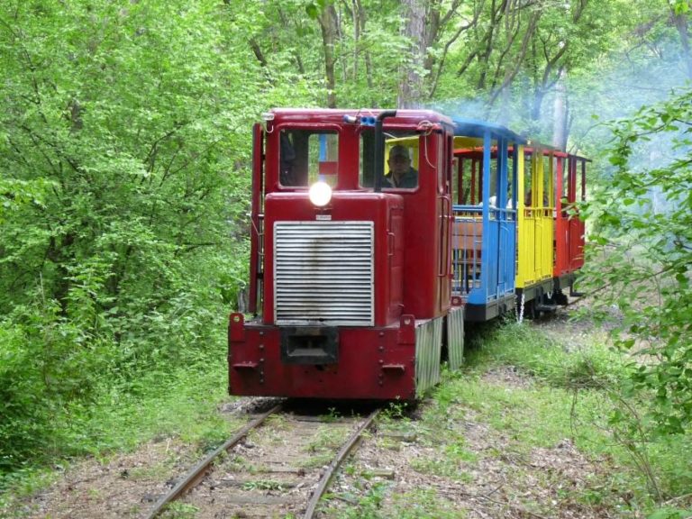 The top five loveliest forest trains in Hungary - Daily ...