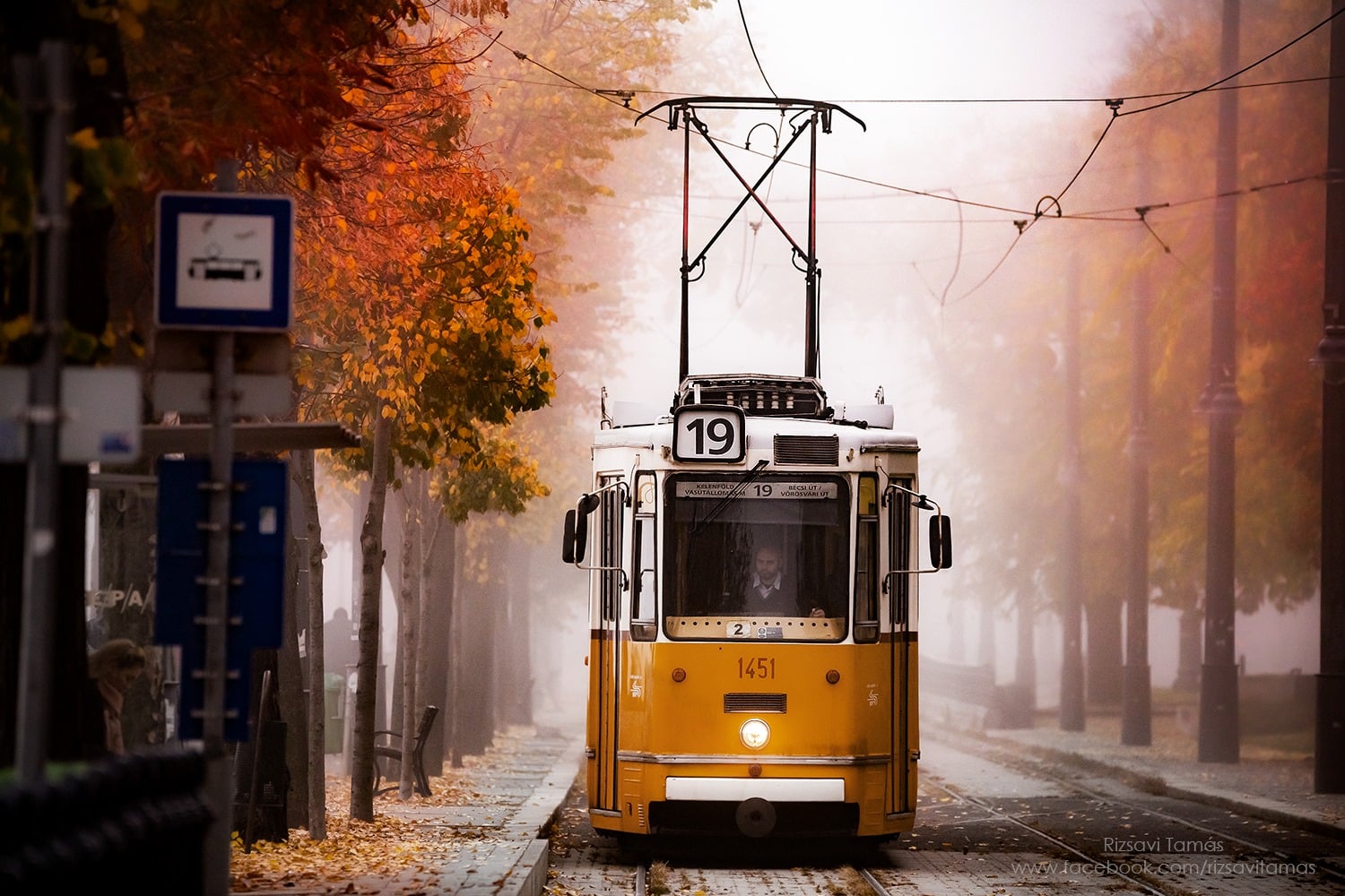 autumn tram