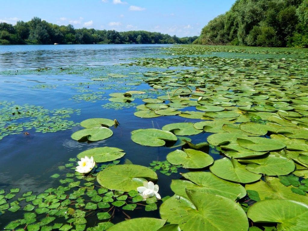 Őrségi National Park, Hungary, nature