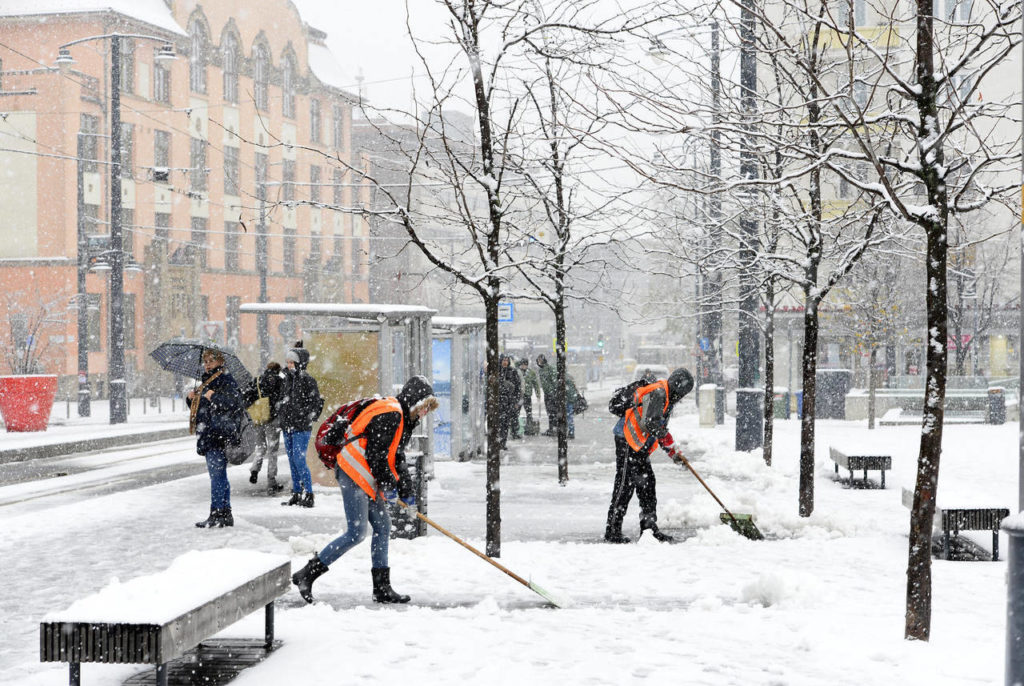 2019年冬の初雪がハンガリーに到着