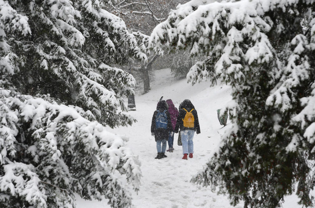 В Угорщині випав перший сніг зими 2019 року
