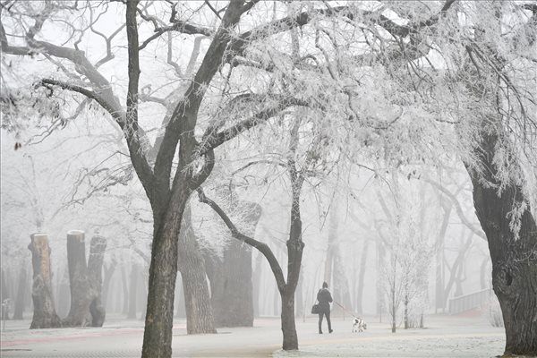 debrecen winter frost fog