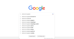 Google, internet, Hungary