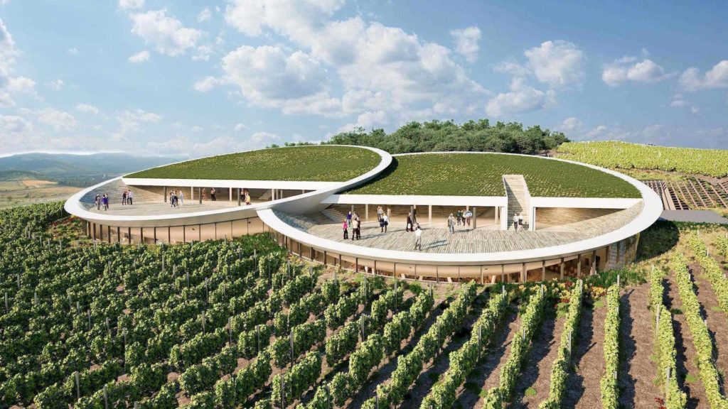 Sauska Winery View Design Plan Tokaj Bord Architect Studio
