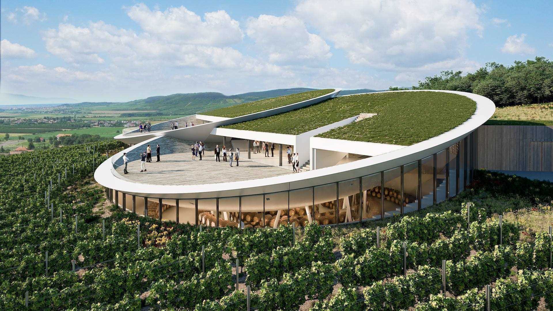 Sauska Winery View Design Plan Tokaj Terrace