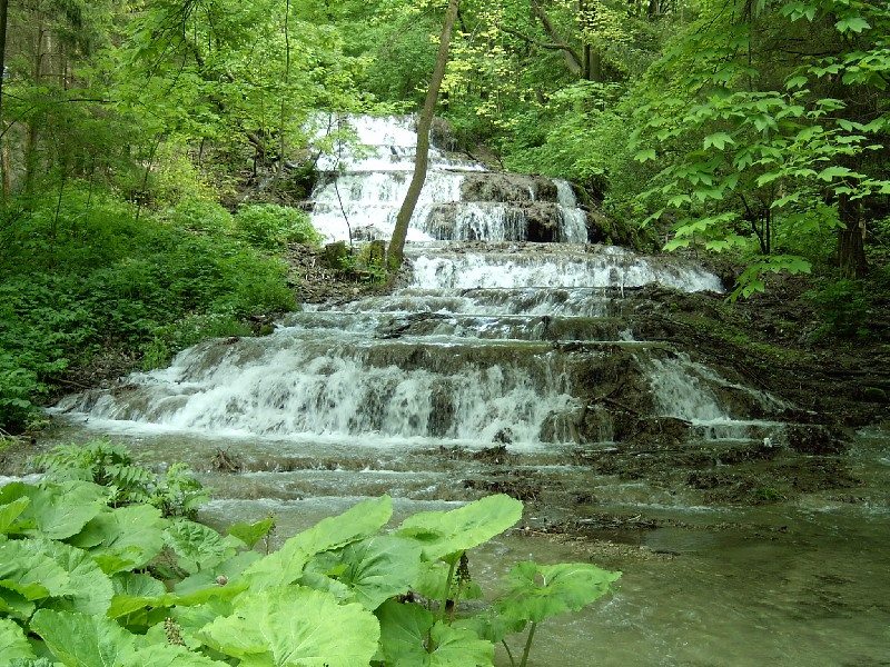 Veil Waterfall Szilvásvárad