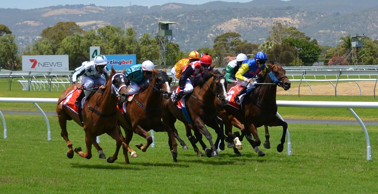 Latest horse racing betting replays
