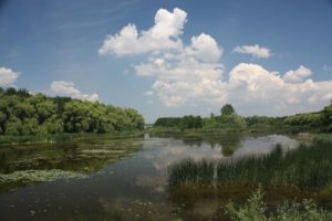 Small Balaton, Lake Balaton, Hungary, nature