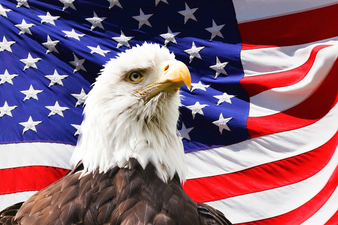 USA flag eagle