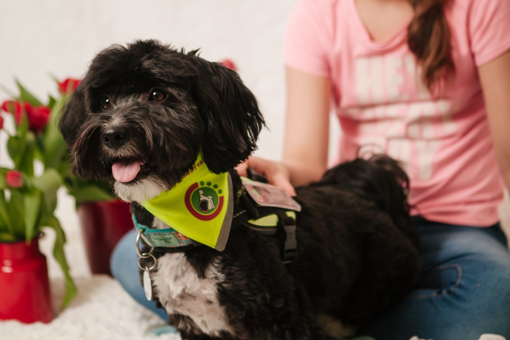 Gofree, a glutén-jelző segítőkutya2