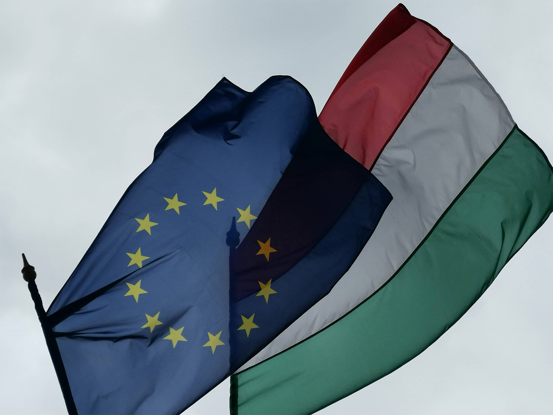 EU Hungary flag