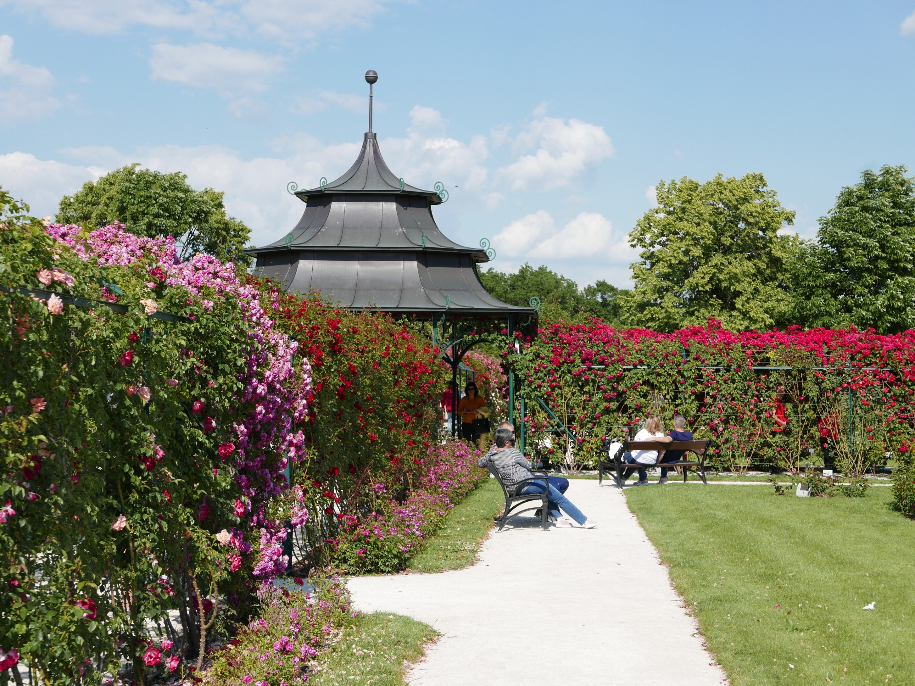 قصر Fertőd-Esterházy-Rose Garden-3