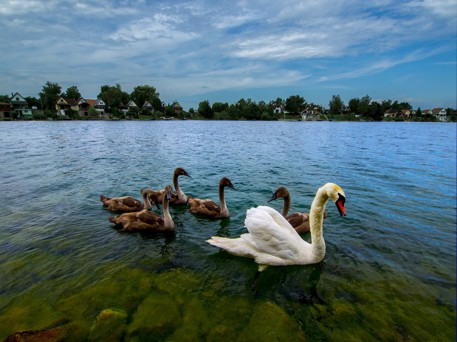 Озеро Котро, Венгрия