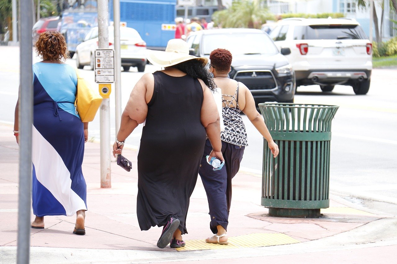 obesity health fat