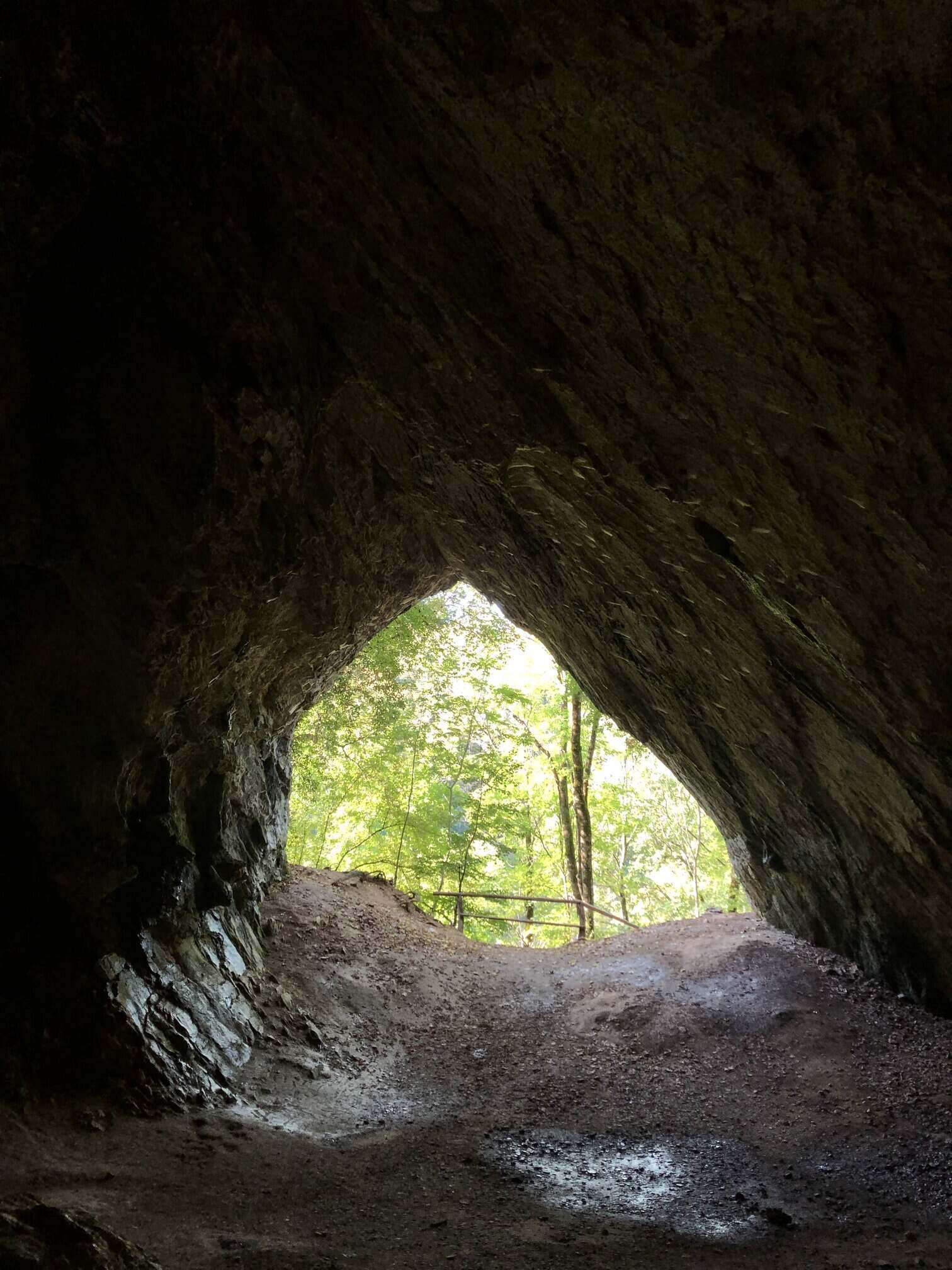 Bükk National Park