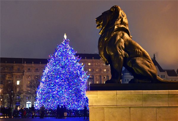 Budapest Christmas tree Advent