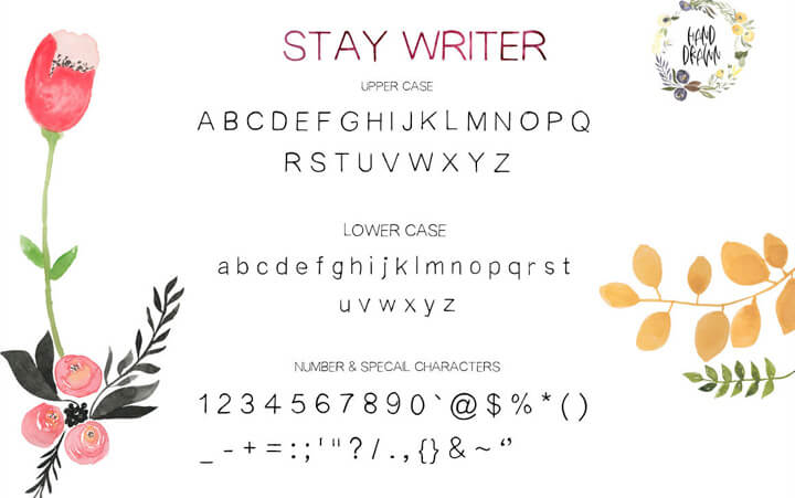 stay writer