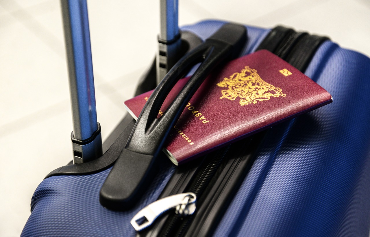 Passport Travel Luggage